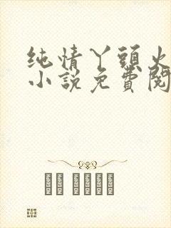 纯情丫头火辣辣小说免费阅读全集封面