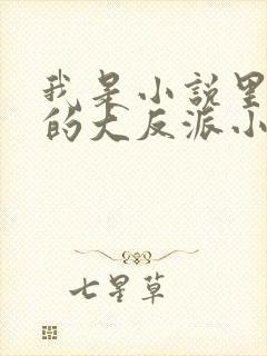 我是小说里共同的大反派小说免费阅读