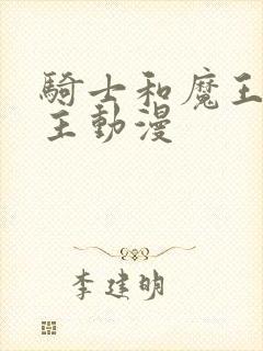 骑士和魔王双男主动漫