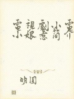 电视剧小电视剧小娘惹简介