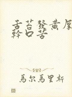 舌苔发黄厚腻口干口苦封面