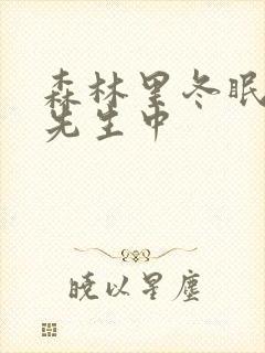 森林里冬眠的熊先生中