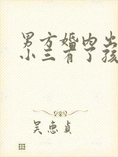 男方婚内出轨和小三有了孩子怎么办