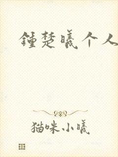 钟楚曦个人简历封面