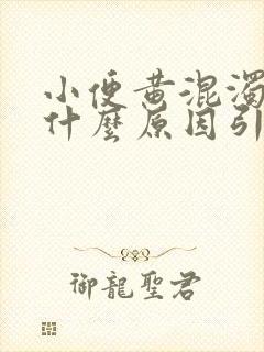 小便黄混浊男性什么原因引起的