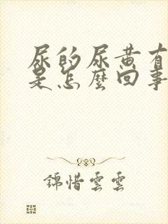 尿的尿黄有味道是怎么回事