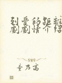 到爱的距离电视剧剧情介绍