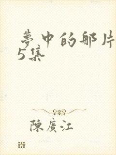 梦中的那片海15集