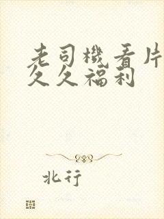 老司机看片午夜久久福利