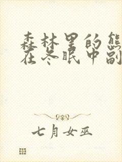 森林里的熊先生在冬眠中副cp