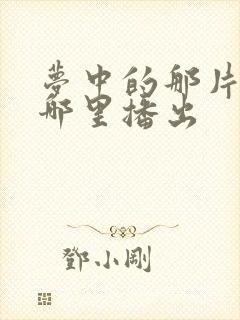 梦中的那片海在哪里播出