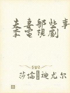 夫妻那些事第二季电视剧