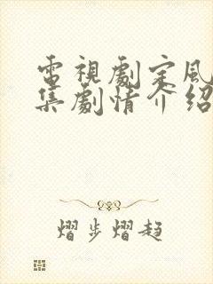 电视剧定风波分集剧情介绍封面