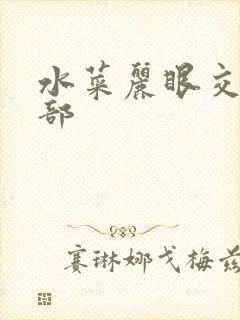水菜丽眼交哪一部