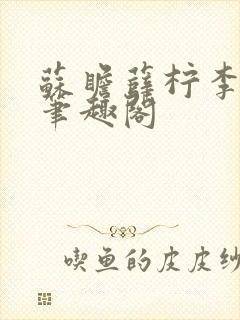 苏瞻薛柠李长澈笔趣阁封面