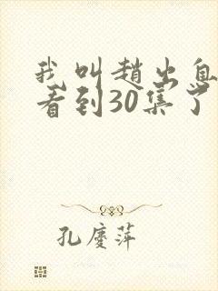 我叫赵出息可以看到30集了封面