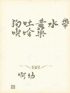 狗吐黄水带泡沫吃啥药