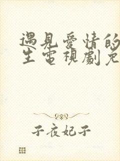 遇见爱情的利先生电视剧免费观看完整版