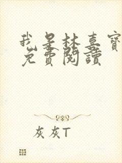 我是林喜宝小说免费阅读封面