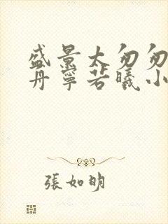 盛景太匆匆沈砚舟宁若曦小说