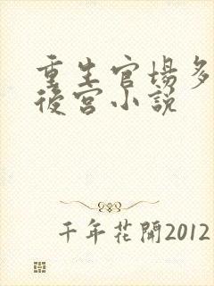 重生官场多女主后宫小说封面