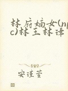 林府嫡女(npc)林玉林璋
