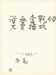 浴血奋战40集免费播放