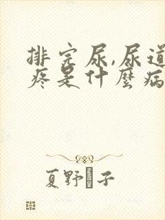 排完尿,尿道口疼是什么病?