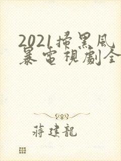 2021扫黑风暴电视剧全集剧情介绍封面
