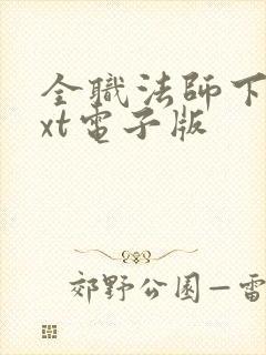 全职法师下载txt电子版