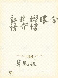 许我耀眼分集剧情介绍