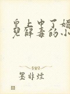 皇上中了媚毒女儿解毒的小说封面