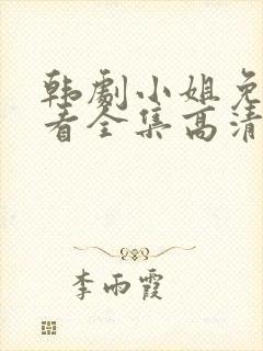 韩剧小姐免费观看全集高清