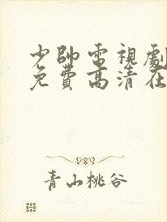 少帅电视剧全集免费高清在线