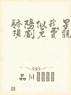 骄阳似我星辰电视剧免费观看完整版