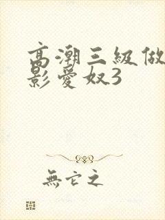 高潮三级做爰电影爱奴3