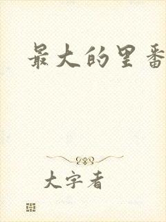 最大的里番网站