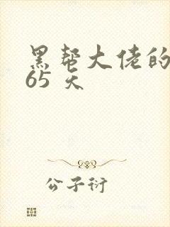 黑帮大佬的 365 天