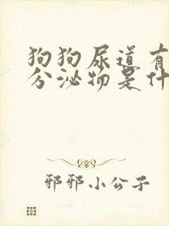 狗狗尿道有黄色分泌物是什么原因?