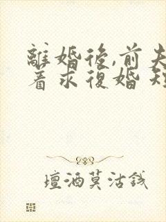 离婚后,前夫哭着求复婚 短剧