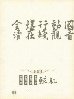 金爆行动国语高清在线观看