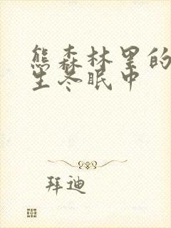 熊森林里的熊先生冬眠中封面