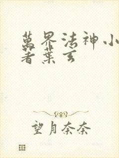 万界法神小说原著叶玄