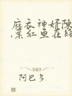 麻衣神婿陈黄皮,叶红鱼在线免费阅读