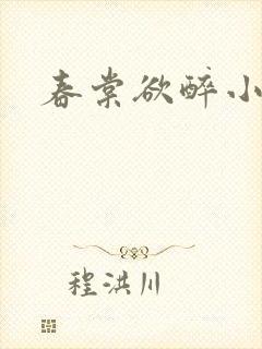 春棠欲醉小说封面