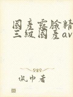 国产露脸精品产三级国产av