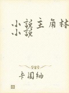 小说主角林墨的小说