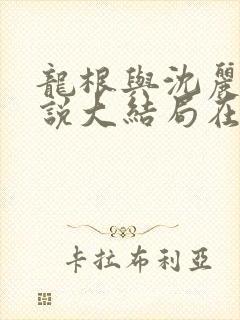 龙根与沈丽娟小说大结局在线阅读