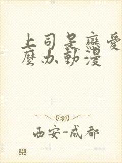 上司是恋爱脑怎么办动漫