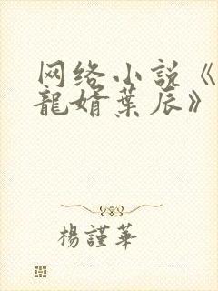 网络小说《上门龙婿叶辰》封面